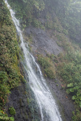 緑の岩肌を流れる滝