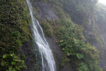 Fototapeta na wymiar 緑の岩肌を流れる滝