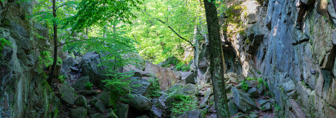A hiking trail at Purgatory Chasm State Reservation in Sutton Massachusetts