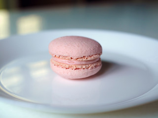 Rose flavored macaroon isolated on white plate. Selective focus.