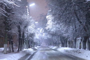 winter landscape with road and trees