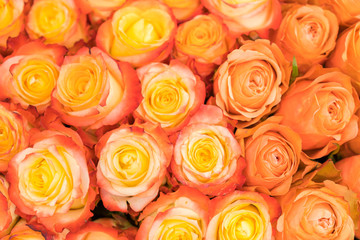 A huge bouquet of orange roses. orange roses background. orange roses horizontal seamless pattern. orange roses arrangement