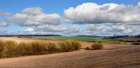 Fototapeta na wymiar a plowed land, agrarian landscape of the springtime