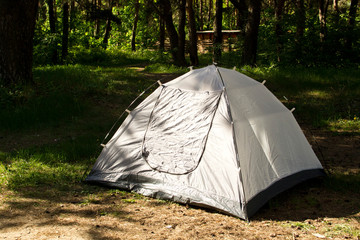 Tourist tent in a pine forest