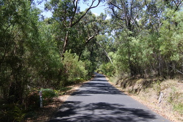 Fototapeta premium Einsame Straße im Grampians-Nationalpark in Australien