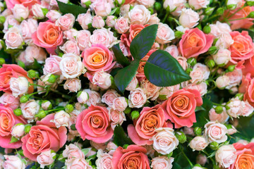 Beautiful fresh red and pink roses. beautiful bouquet of roses