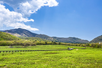 Fototapeta premium タデ原湿原