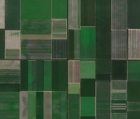 green agriculture fields (infield) and irrigation canals aerial wiev