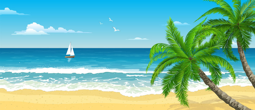 Exotic Tropical  Beach With  Palm. Seascape With Waves, Cloudy Sky And Seagulls.  Sail On The Horizon. Tourism And Travelling. Vector Design