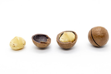 Macadamia nut isolated on white background.