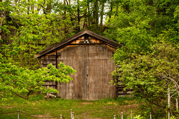 a building in the woods