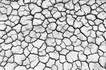 Black and white image of crack soil texture background