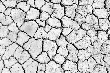 Black and white image of crack soil texture background