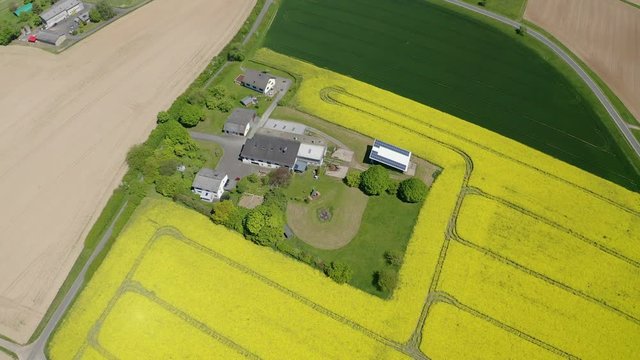 Aerial view, flight over agriculture with cereal fields and rapeseed cultivation, Sch&ouml;ffengrund, Schwalbach, Hochtaunuskreis, Hesse, Germany
