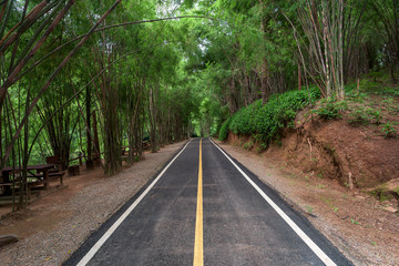 Road in mountain forest