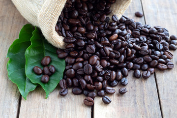 coffee bean with leaves on wood background