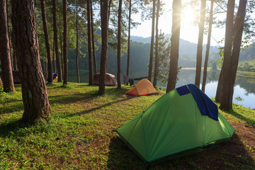Camping and tent in beautiful forest