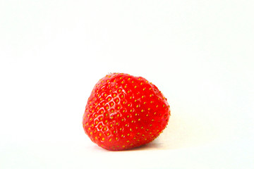 Strawberry without stem on white background with shadow. Red ripe berry with yellow seeds