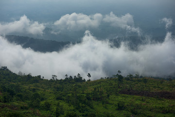 Foggy mountain in deep forest at Thailand