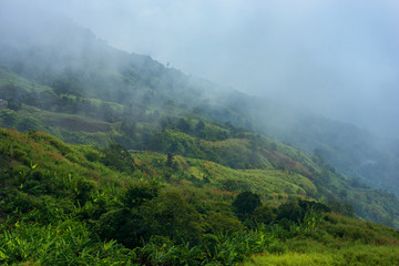 Fototapeta premium Foggy mountain in deep forest at Thailand