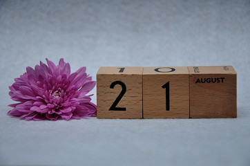 21 August on wooden blocks with a pink daisy on a white background