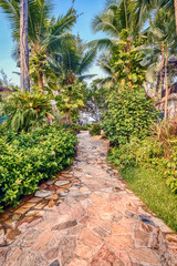 Tropical resort garden and pool