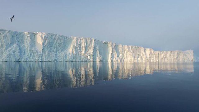 Arctic Iceberg in Arctic Ocean in Greenland