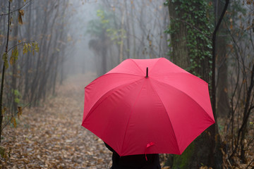 Woman Walking in the Foggy Forest with a Red Umbrella. © Mats Silvan