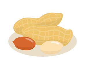 Peanut isolated on white background.