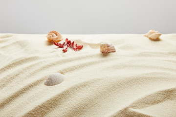 Obraz na płótnie Canvas selective focus of seashells and starfish in sand on grey background