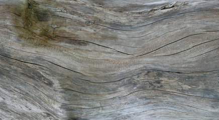 Aged wood texture is a background surface with a natural pattern.