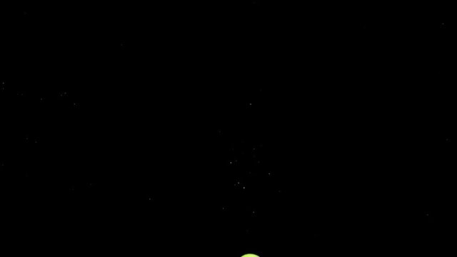 One green grape falling into transparent water on black background. Fresh fruits and berries splashing in aquarium. Organic berry, healthy food, diet, air bubbles. Slow Motion. Close-up.