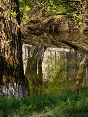 Beautiful summer landscape.