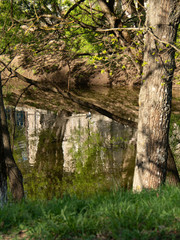 Fototapeta premium Beautiful summer landscape.