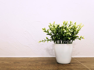 Plant in a white pot. White wall Venetian plaster. Beautiful trend composition with free space for your text or design.