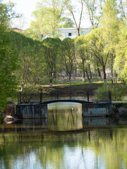 Naklejka premium Beautiful summer landscape.