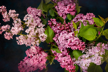 Bouquet of lilac on a dark vintage background