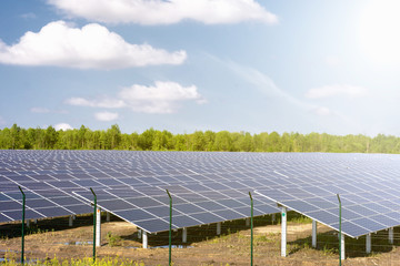 Solar panels in the sunshine