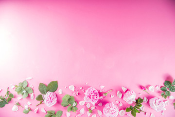 Pink pattern background with roses, above layout copy space