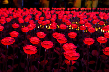 Flower light show at Sanam Luang in Bangkok, Thailand