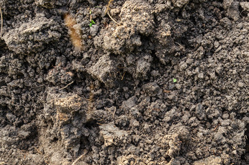 The black fertile ground texture