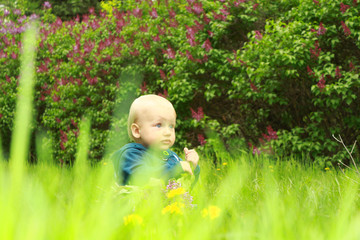 A beautiful blond child with blue eyes is sitting in the green grass.