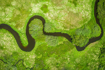 Trebonsko region stands out for its extraordinary variety of habitats. The most valuable biotopes...