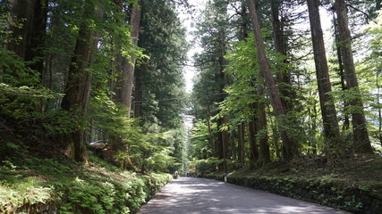 日光東照宮へ続く道
