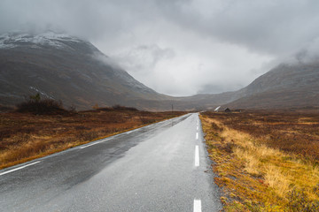 Asfaltowa, kręta, górska droga w czasie deszczu i we mgle. Norweski surowy klimat. Skaliste góry. - obrazy, fototapety, plakaty
