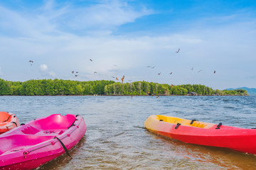 Fototapeta premium Beautiful scenery of the red hawks while flying to find food with kayaks floating in the sea at Bang Chan village (The No-Land Village) in Chanthaburi, Thailand