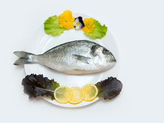 One raw fresh dorado fish in a plate is decorated before cooking.