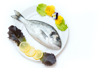 One raw fresh dorado fish in a plate is decorated before cooking.