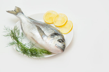 One raw fresh dorado fish in a plate with dill and lemon before cooking.