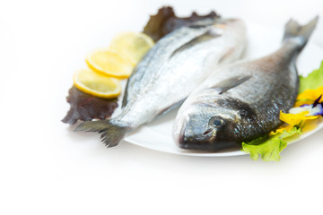 Two raw fresh dorado fish with spices and lemon on a white table.